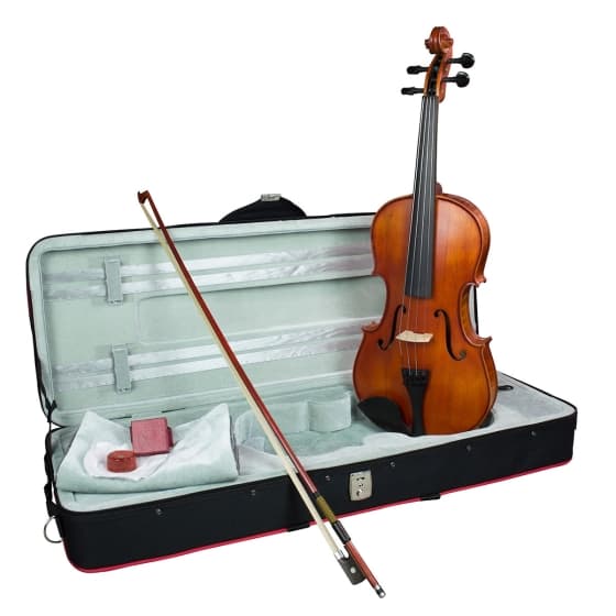 ויולה אינץHidersine Vivente Viola 15.5