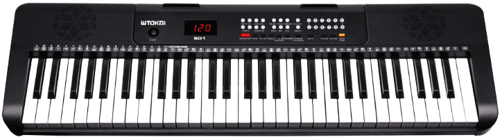 אורגנית Tokai SD1